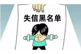 扬中贷款清欠服务